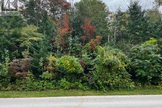 Commercial Land for Sale, 2 Shore Road, Saugeen Shores, ON