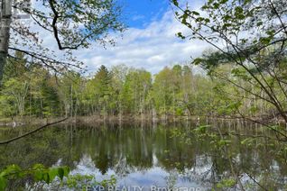Commercial Land for Sale, Lot 4 Sandy Shores Trail, Madawaska Valley, ON