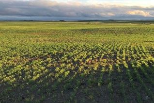 Land for Sale, Acreage D Lovering Lakes, Craik Rm No. 222, SK Land for Sale, Acreage D Lovering Lakes, Craik Rm No. 222, SK