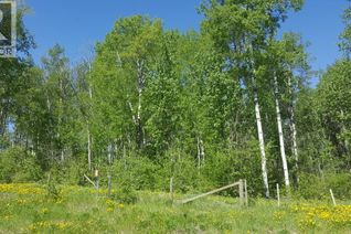 Property for Sale, Weberville Road, Rural Northern Lights, County of, AB