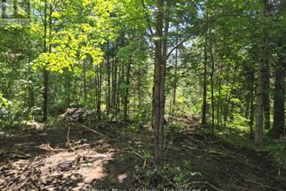 Property for Sale, 0 Hwy 503 Highway E, Highlands East (Glamorgan), ON