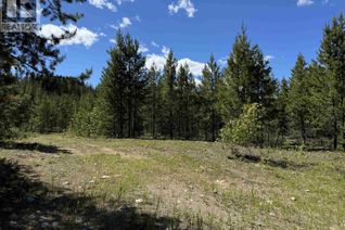 Commercial Land for Sale, 4 Pitney Road #LOT, Valemount, BC