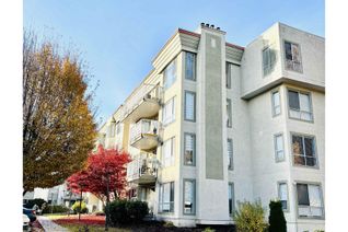 Condo Apartment for Sale, 32830 George Ferguson Way #437, Abbotsford, BC Condo Apartment for Sale, 32830 George Ferguson Way #437, Abbotsford, BC