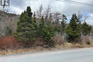 Commercial Land for Sale, Lot #1 Main Road, North River, NL