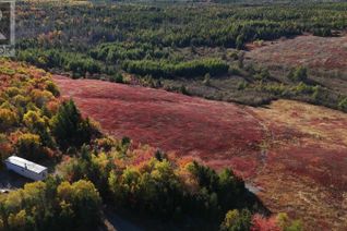 Land for Sale, Bengal-Oceanview Road, Albert Bridge, NS Land for Sale, Bengal-Oceanview Road, Albert Bridge, NS