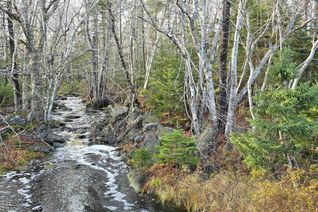 Land for Sale, Lot 16 Eastern Shore Road, Port Medway, NS