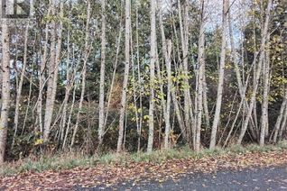 Vacant Residential Land for Sale, Lot E Tatton Rd, Courtenay, BC