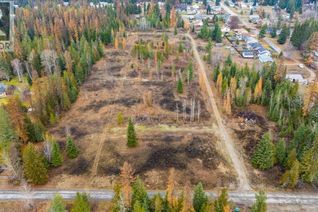 Property for Sale, Lot B Henderson Avenue, Salmo, BC