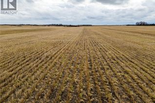 Property for Sale, 2, 326 Acres - Estevan/Macoun, Benson Rm No. 35, SK