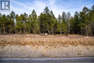 Commercial Land for Sale, Lot 29 Elkhorn Boulevard, Windermere, BC