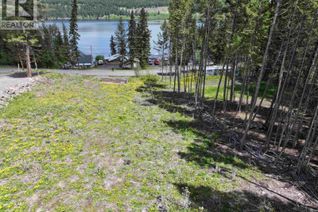 Land for Sale, Lot 48 Mulligan Road, 100 Mile House, BC