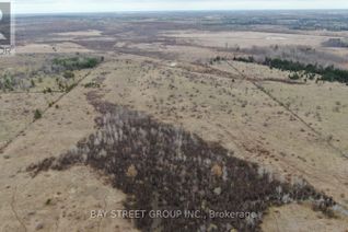 Commercial Farm for Sale, Lt24 Con4 Eldon Road, Kawartha Lakes (Eldon), ON