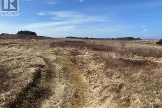 Property for Sale, 22-24 Lance Cove Road, St. Mary's, NL