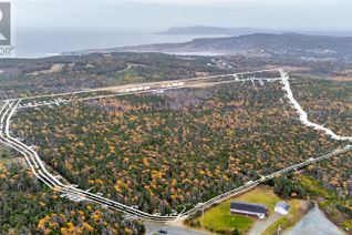 Commercial Land for Sale, 162-218 Red Head Road, Flatrock, NL