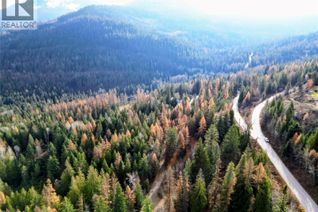 Commercial Land for Sale, 766 Drakes Road, Rossland, BC