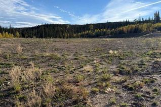 Commercial Land for Sale, 125 Nordegg Industrial Drive, Nordegg, AB
