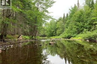 Property for Sale, 11.2 Acres South Black River, Black River Bridge, NB