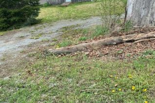 House for Sale, 532 Mitchell Road, Cramahe, ON