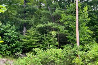 Land for Sale, 0 (PIN - 40264-0091) Potter Settlement Rd, Tweed, ON