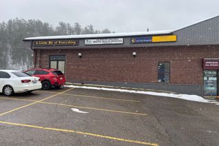 Property for Lease, 14 IGA Rd, Minden Hills, ON