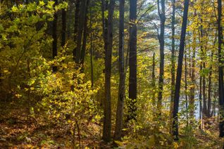 Land for Sale, 31099 Highway 7 N/A, Frontenac, ON