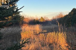 Commercial Land for Sale, Lot Rue Principale, Tracadie, NB