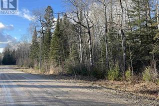Commercial Land for Sale, 99 Shelley Lane, Dryden, ON