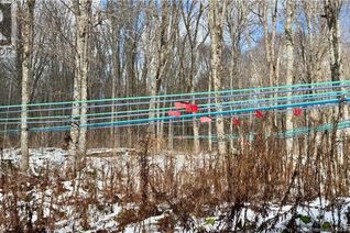 Farm for Sale, Na Woods Road, Kedgwick, NB