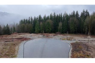 Commercial Land for Sale, 12120 Simpson Court, Mission, BC