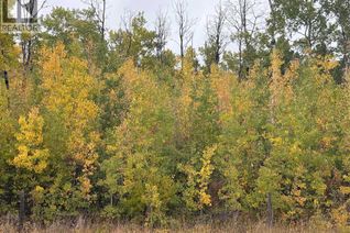 Property for Sale, 12 Foot Davis Road, Rural Northern Sunrise County, AB