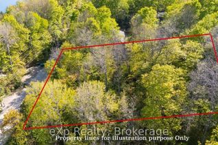 Commercial Land for Sale, Lot 204 - 205 9th Avenue, South Bruce Peninsula, ON