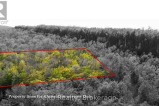 Commercial Land for Sale, Lot 202 - 203 9th Avenue, South Bruce Peninsula, ON