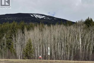 Commercial Land for Sale, 11 Essen Road #LOT, Valemount, BC