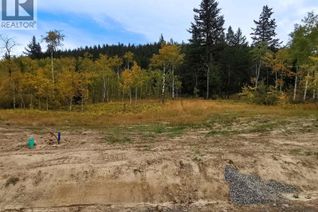 Commercial Land for Sale, 284 Blackstock Road, 100 Mile House, BC