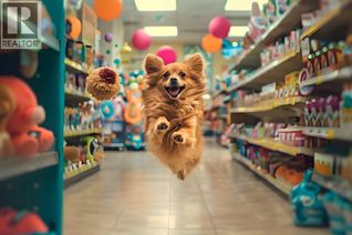 Pet & Supplies Business for Sale
