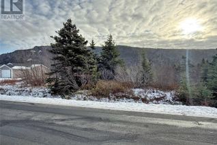 Commercial Land for Sale, 291 North River Road, North River, NL