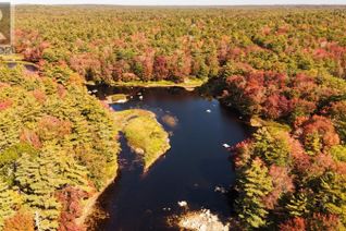 Commercial Land for Sale, Lot Br-5 Highway 203, Lower Ohio, NS