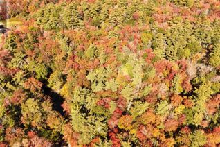 Commercial Land for Sale, Lot Br-1 Bowers Road, Lower Ohio, NS