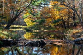 Commercial Land for Sale, Lot Br-3 Bowers Road, Lower Ohio, NS