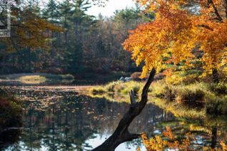 Commercial Land for Sale, Lot Br-4 Bower Road, Lower Ohio, NS