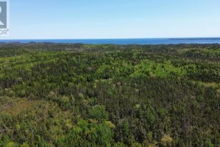 Commercial Land for Sale, 320 Highway, D'Escousse, NS