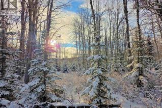Commercial Land for Sale, N1/2 Dl 2557 Binta Road #FRAC, Burns Lake, BC