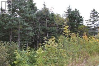 Land for Sale, 235-241 Beachy Cove Road, Portugal Cove-St. Philip's, NL Land for Sale, 235-241 Beachy Cove Road, Portugal Cove-St. Philip's, NL