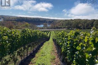 Commercial Farm for Sale, 4113 Highway 340, Carleton, NS