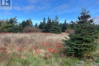 Property for Sale, 17-25 Bay Ridge Road, Ferryland, NL Property for Sale, 17-25 Bay Ridge Road, Ferryland, NL