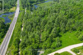 Land for Sale, 4 Wolf Lake Road, Madoc, ON