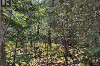 Commercial Land for Sale, 7 Shore Road, Saugeen Shores, ON