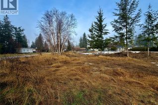 Commercial Land for Sale, 719 Parksville Street, Sicamous, BC