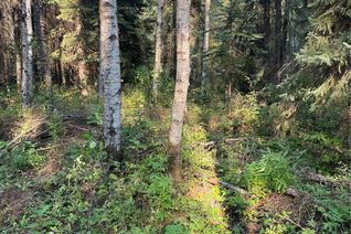 Commercial Land for Sale, 5.22 Acre Lot, Hudson Bay Rm No. 394, SK