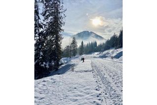 Commercial Land for Sale, 106 Topping Terrace, Rossland, BC